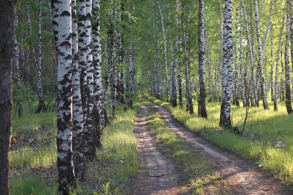 Photograph by АЛЛА ТАРАСЕНКО