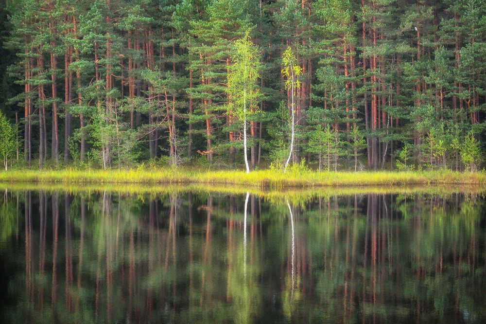 Фотография автора Алексей Карташов