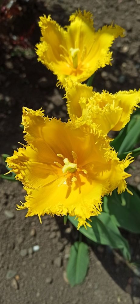 Photograph by Виорика Фоменко