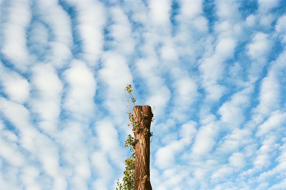 Photograph by Julia Klyuch