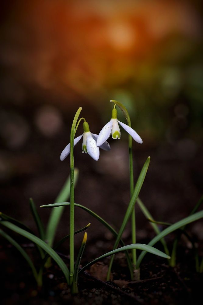 Photograph by Татьяна Бравая