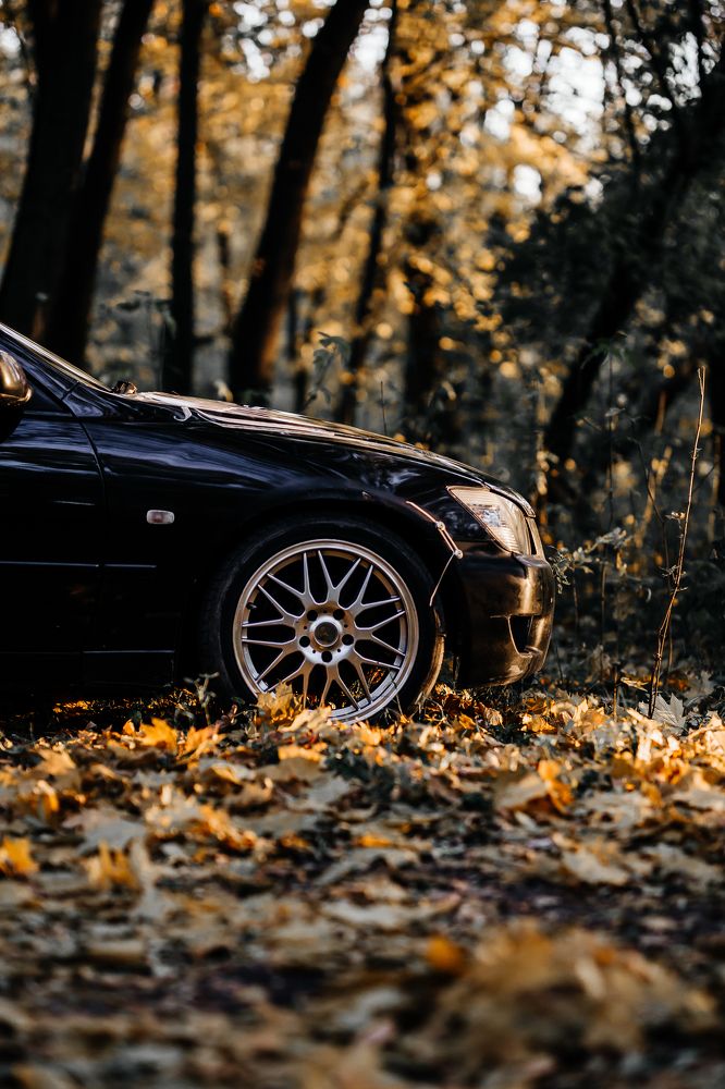 Photograph by Мария Раздорова