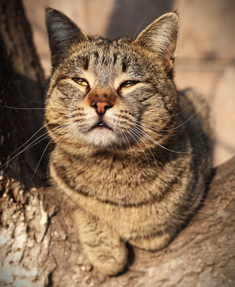 Photograph by Асмик Саргсян