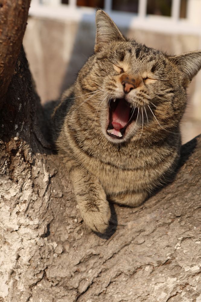 Photograph by Асмик Саргсян