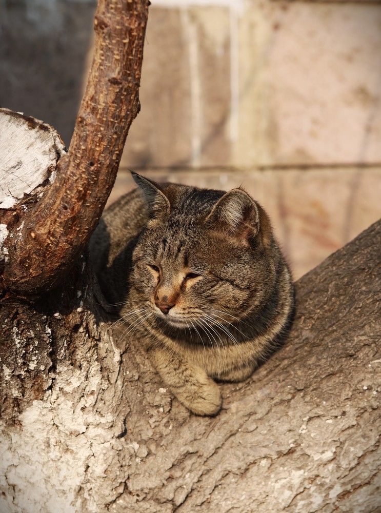 Photograph by Асмик Саргсян