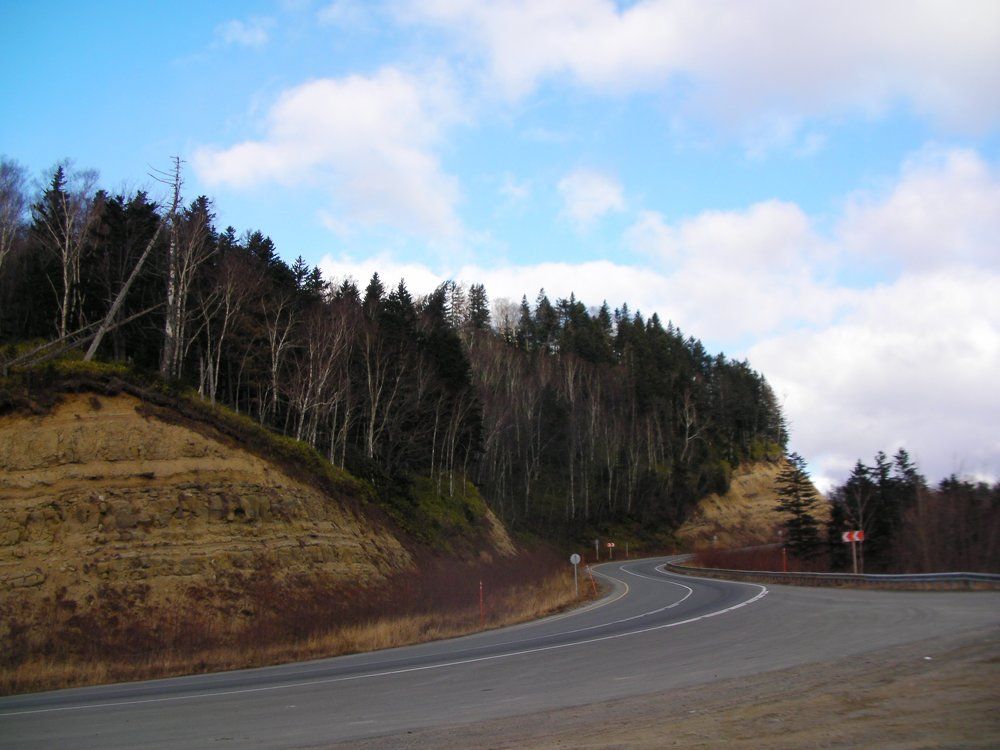 Photograph by Лариса