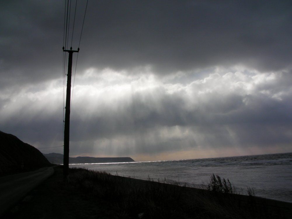 Photograph by Лариса