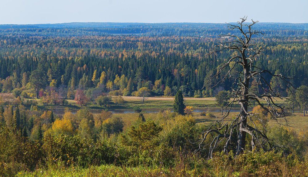 Золотая осень