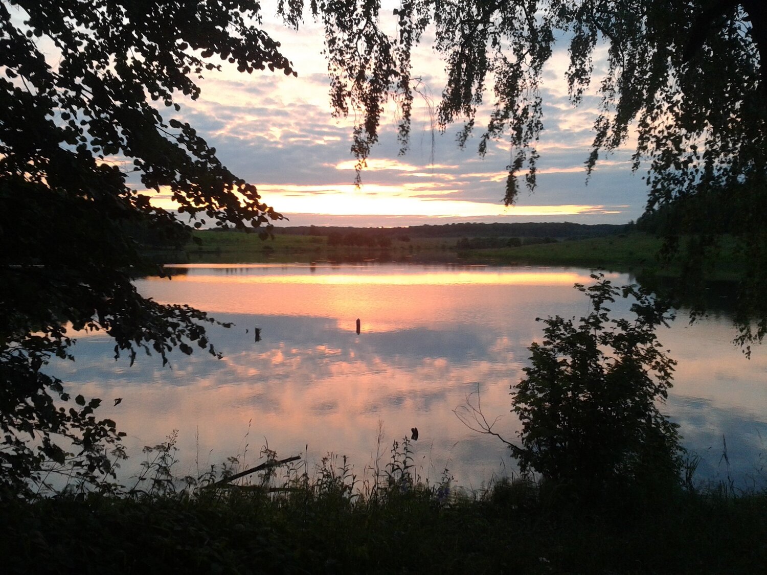 Ясная Поляна