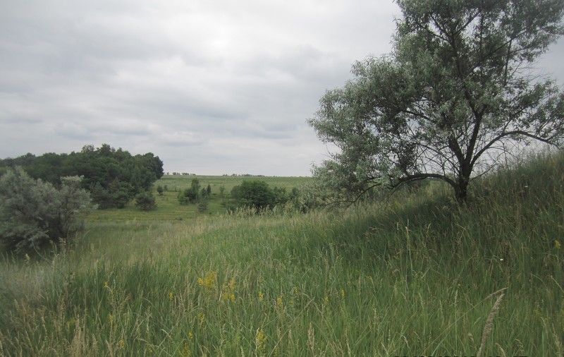 Екатерина, Russia