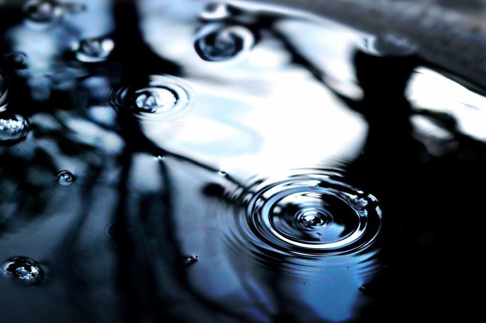 Photograph by Адриана