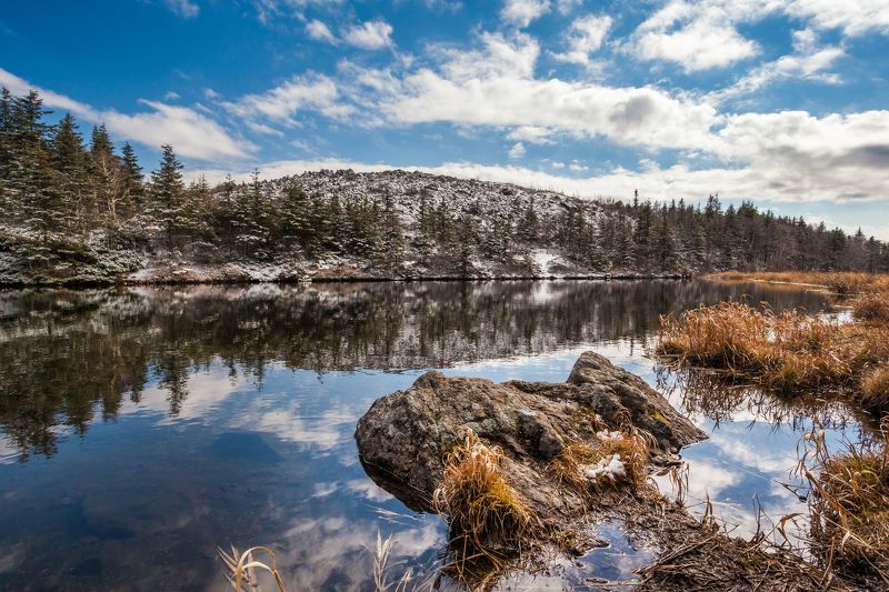 Dmitrii Emelianenko, Russia