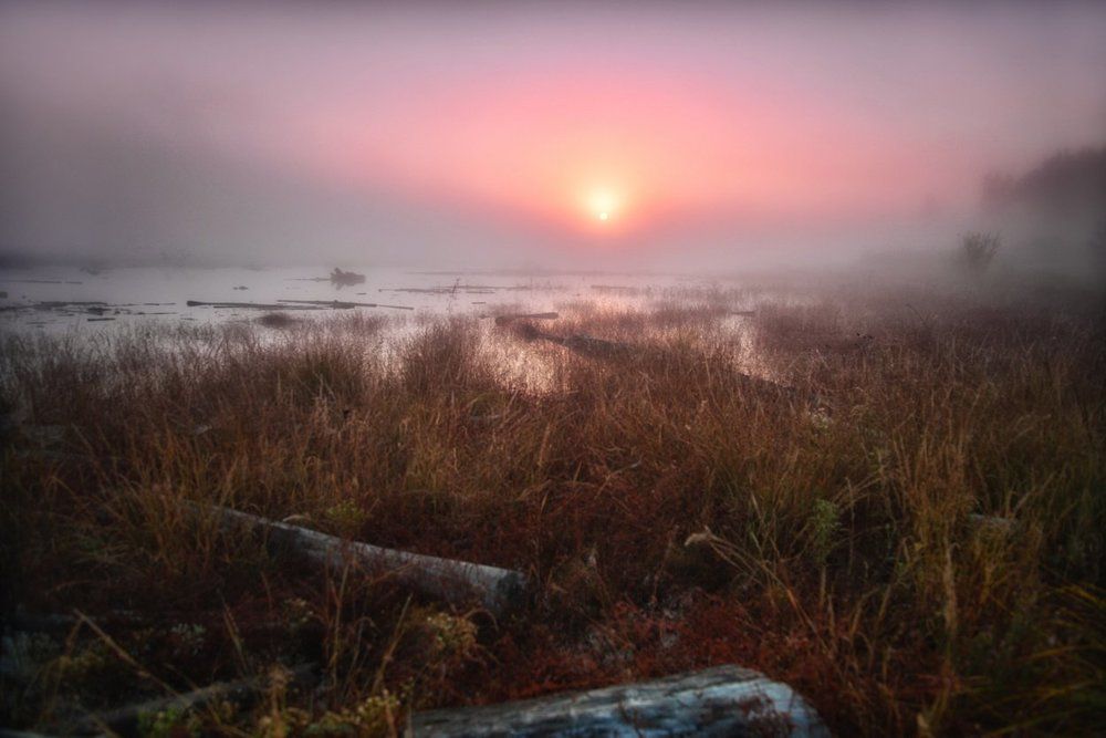 Утро на Бурее