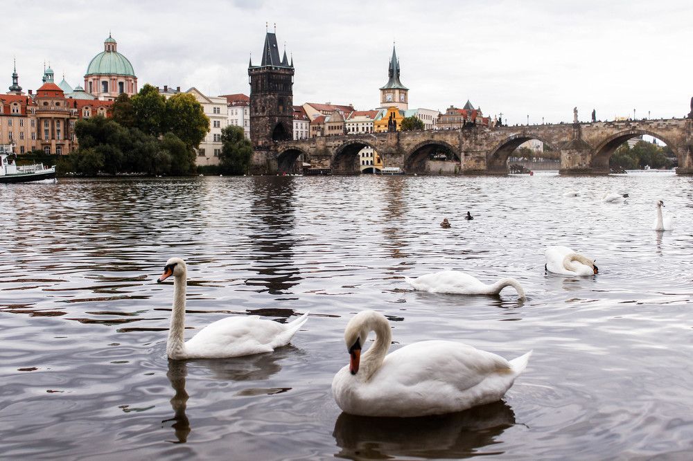 Волшебная Прага
