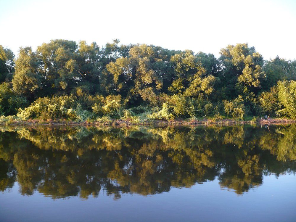 Прогулка на катере по Москва -реке в августе !!!