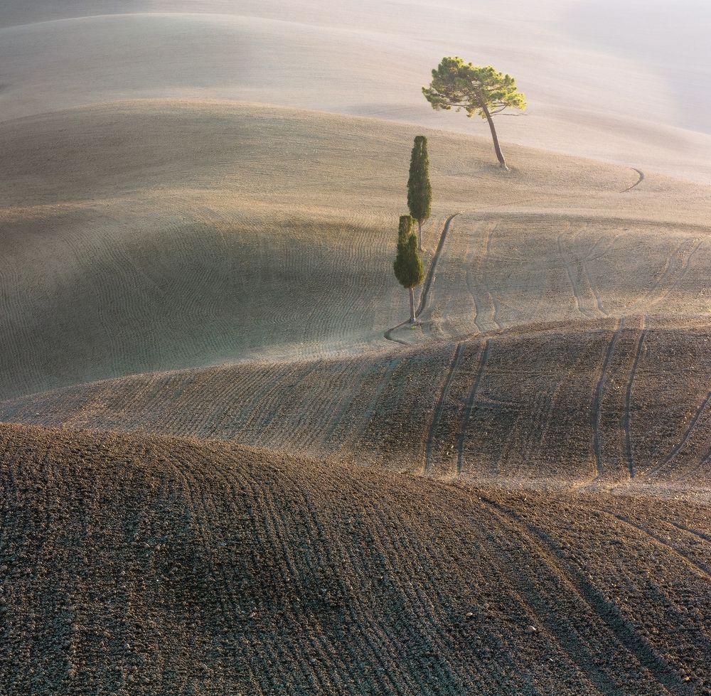 Два кипариса и ...