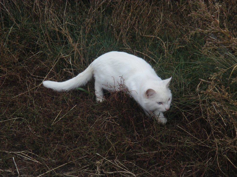 Photograph by Диана