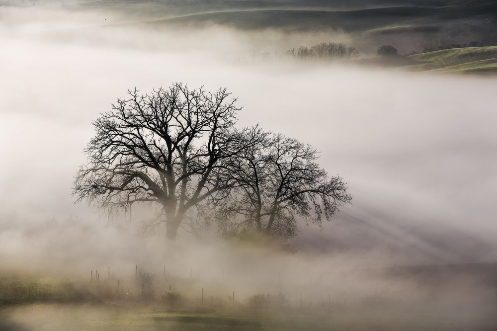 Туманы ноября