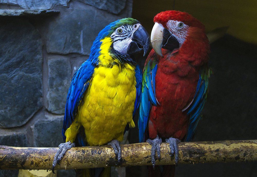 Дружище, послушай, что я тебе скажу!!!