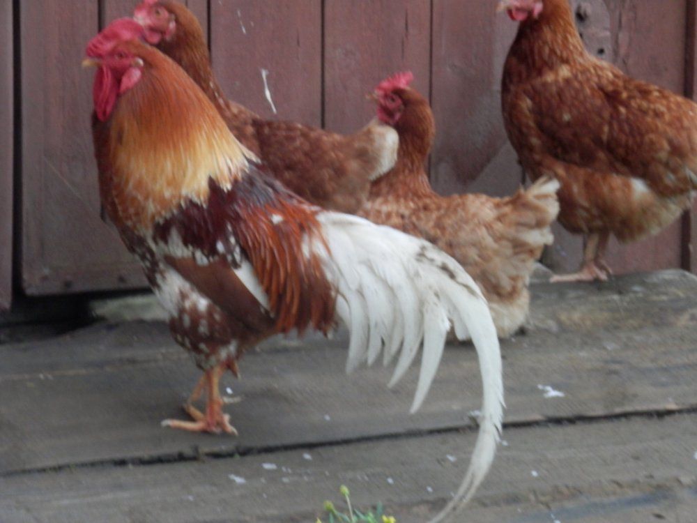 Мы тоже тут