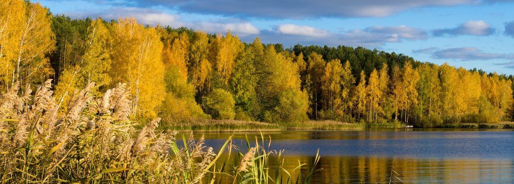 осень на затоне