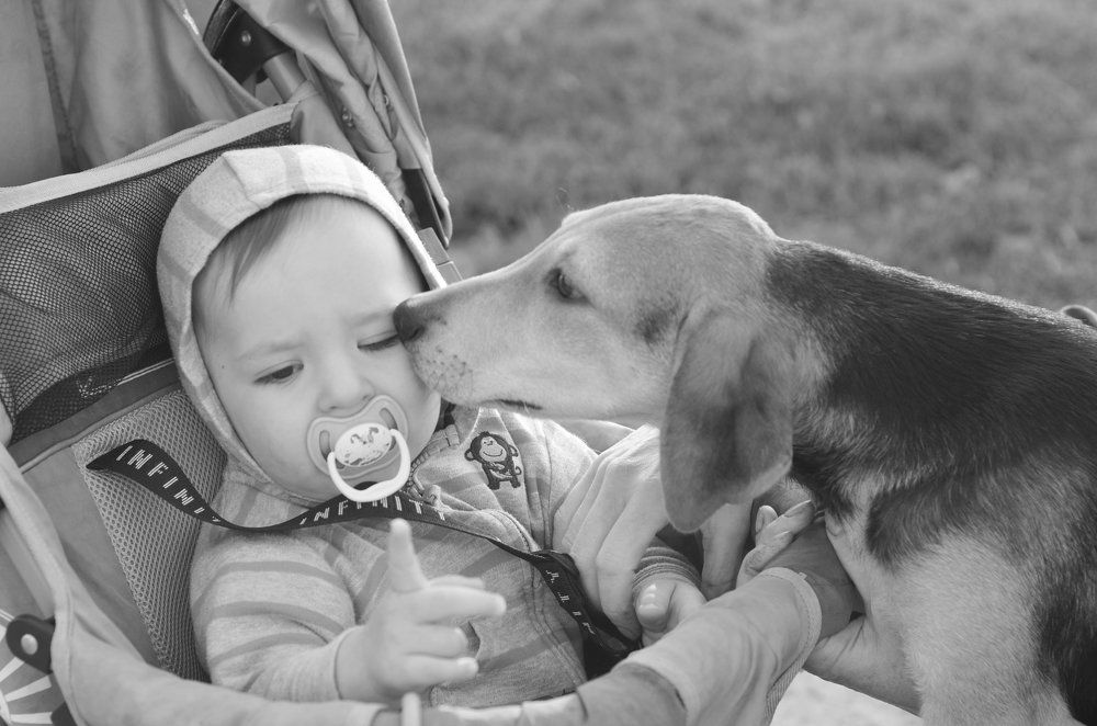 Photograph by Мария Попова