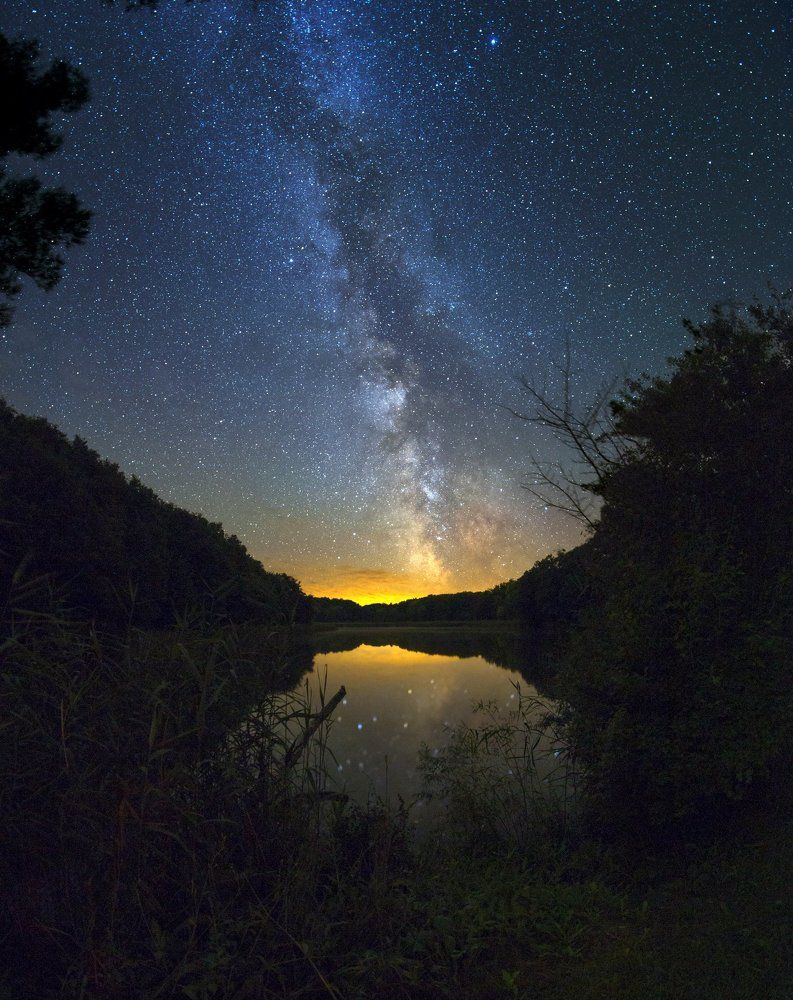 ночь у пруда