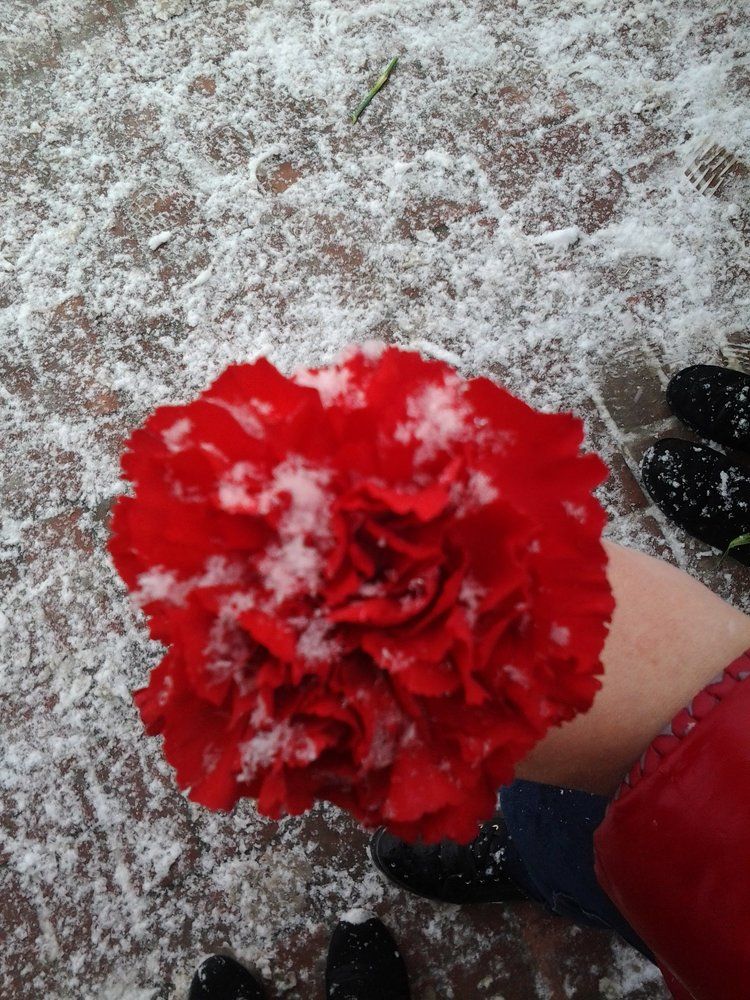 Photograph by Ната