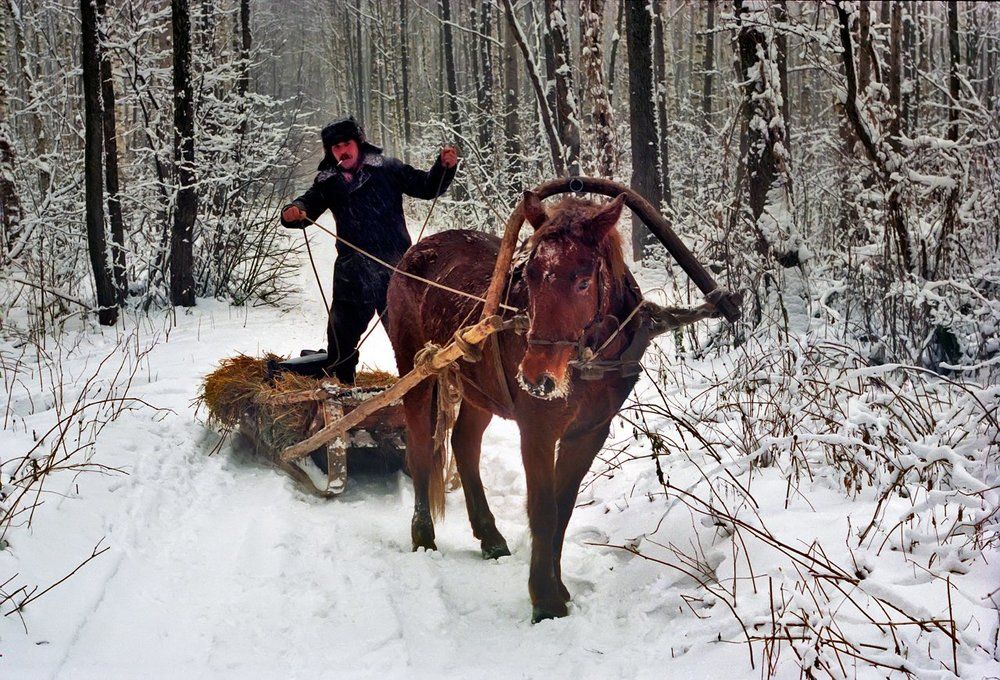 Ямщик не гони лошадей.