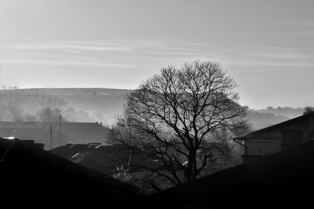 Photograph by ememdemska