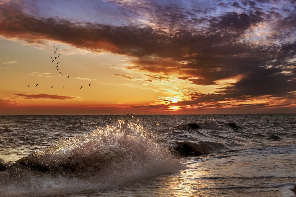 Закатное золото