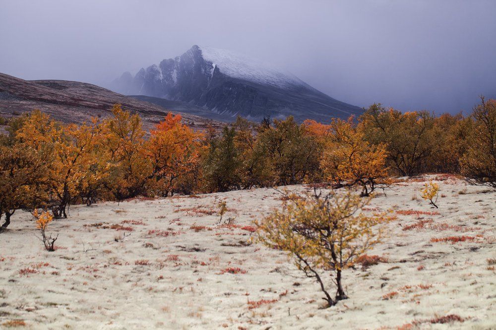 Rondane, National Park, Norway