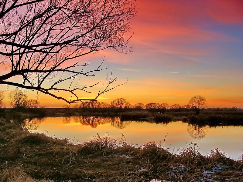 Таисия, Russia