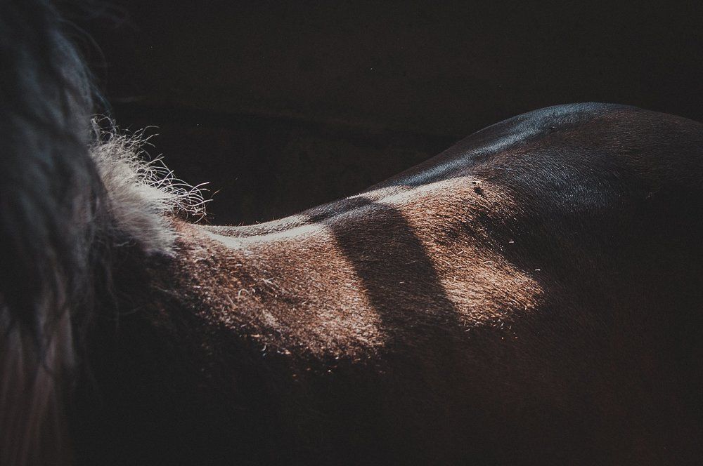 Photograph by Татьяна