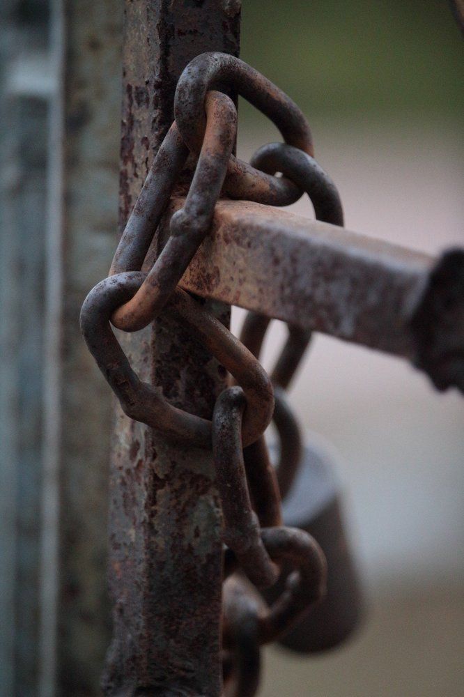 Photograph by Саяпин Александр Владимирович