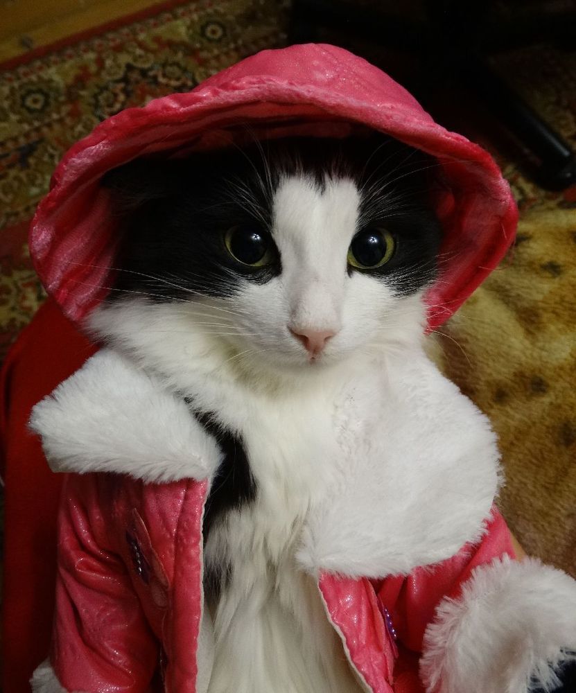 Модница Фрося