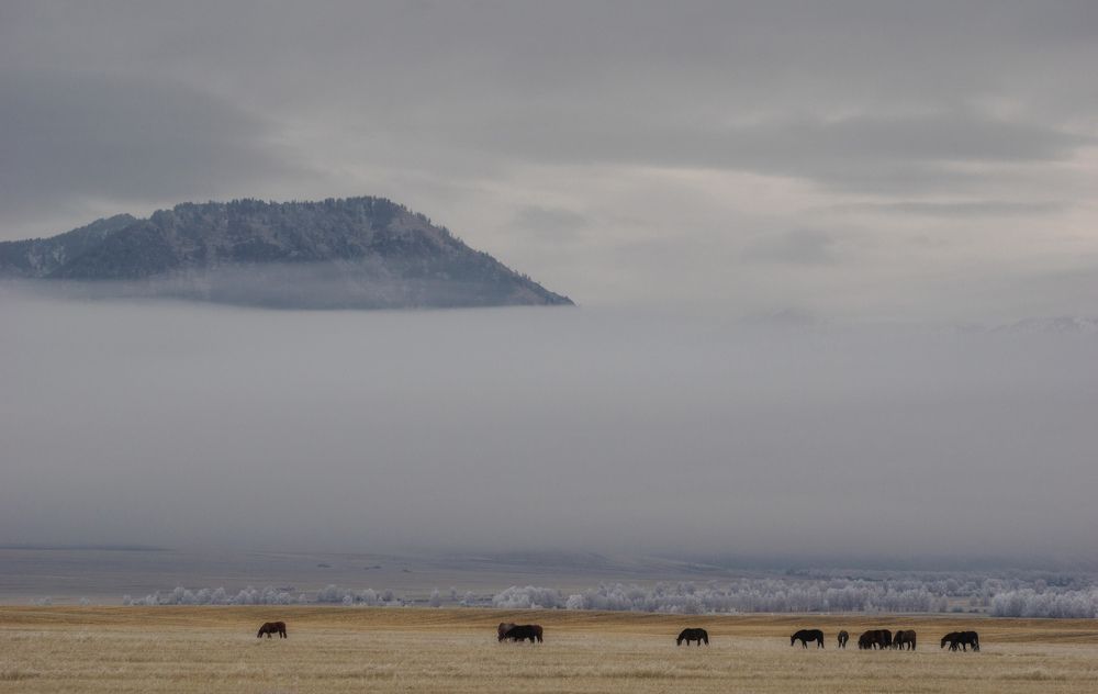 Туманное утро.