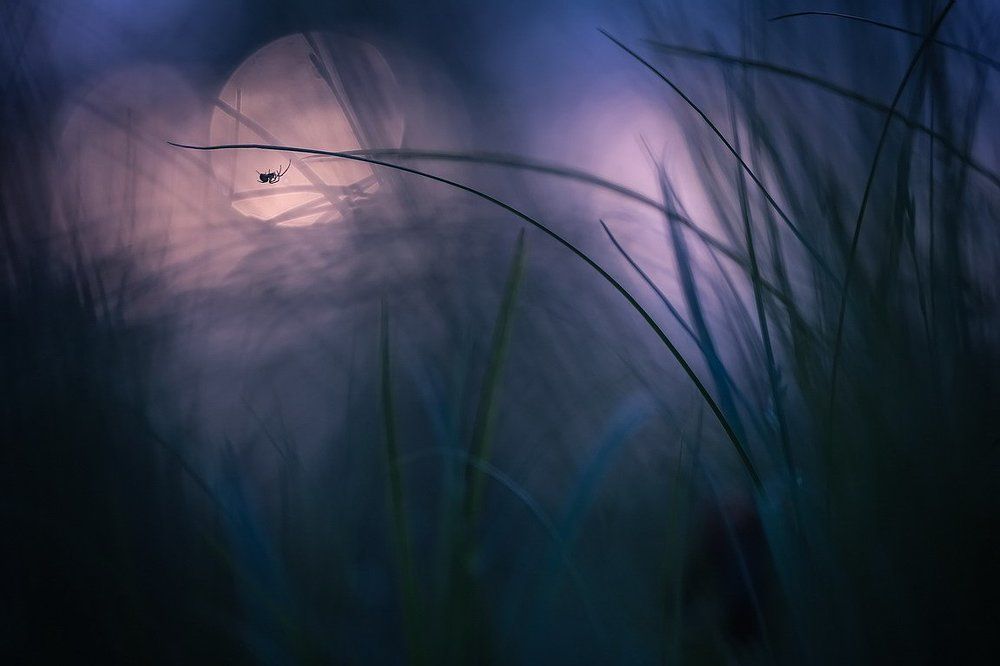 Таинство вечера