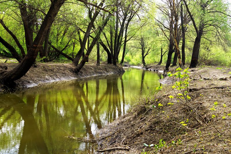Ксения, Russia