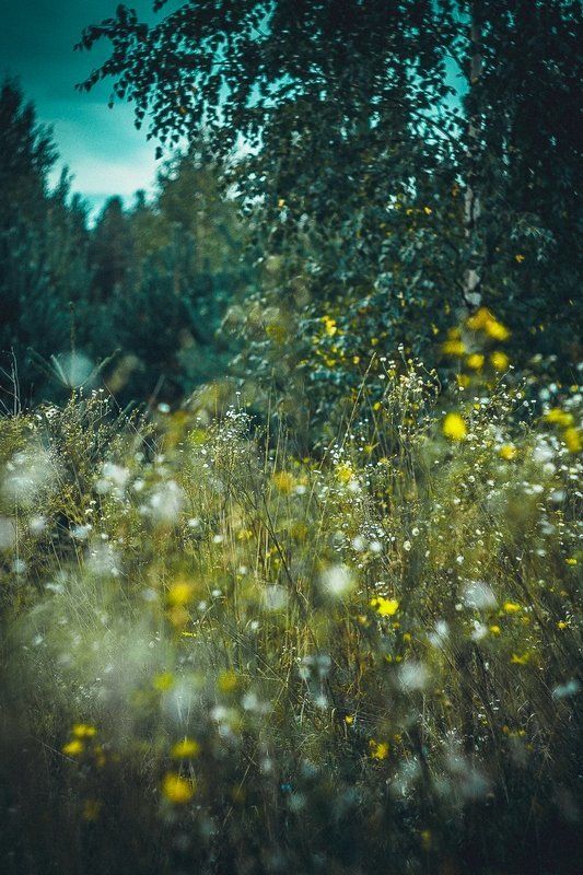 Сергей, Russia