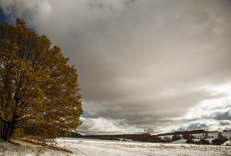 Елена Трошина, Russia