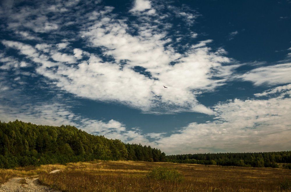 Ввысь к облакам