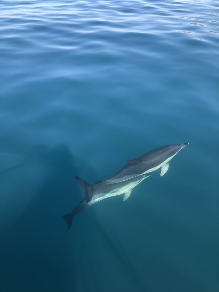 Фотография автора Юлия Косинова