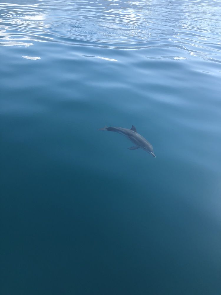 Фотография автора Юлия Косинова