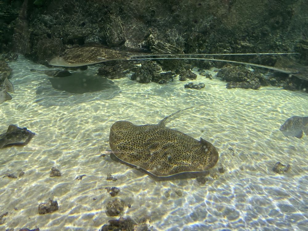 Фотография автора Юлия Косинова