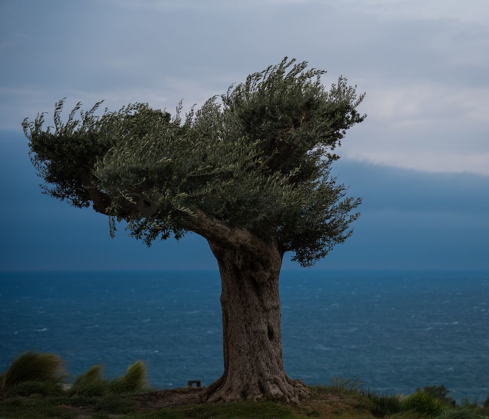 Photograph by Тишков Сергей