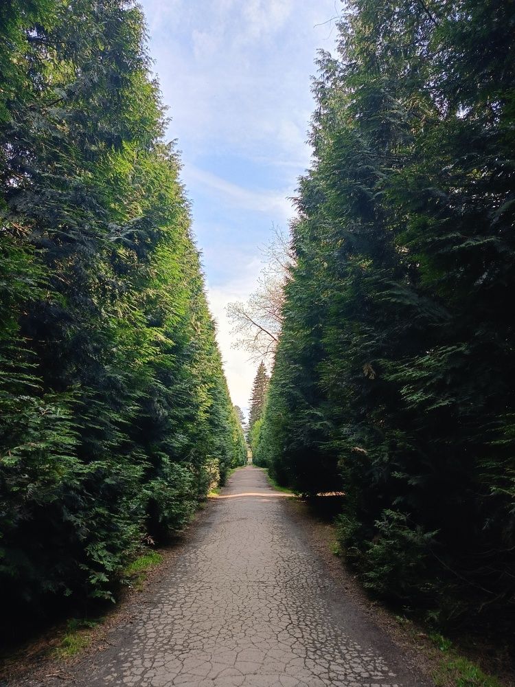 Photograph by Кристина Шацкая