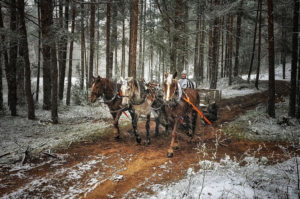 Метель после жары в апреле