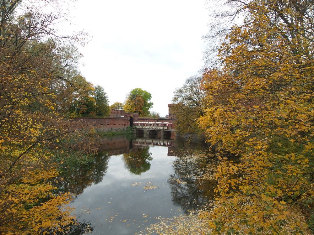 Фотография автора Ксения Смирнова