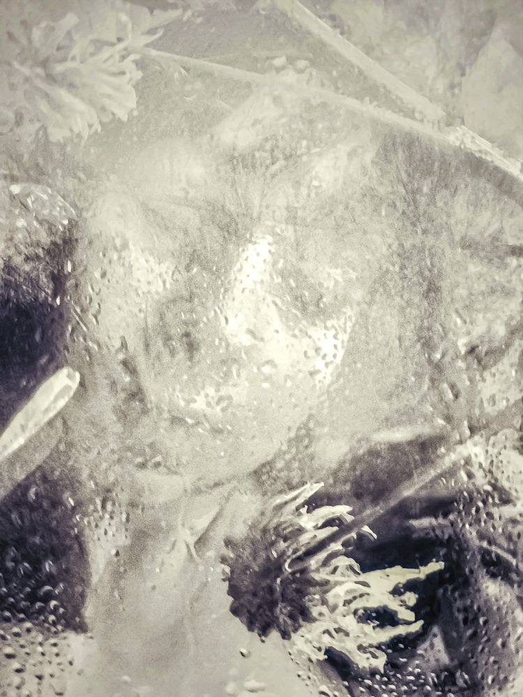 Photograph by Олеся